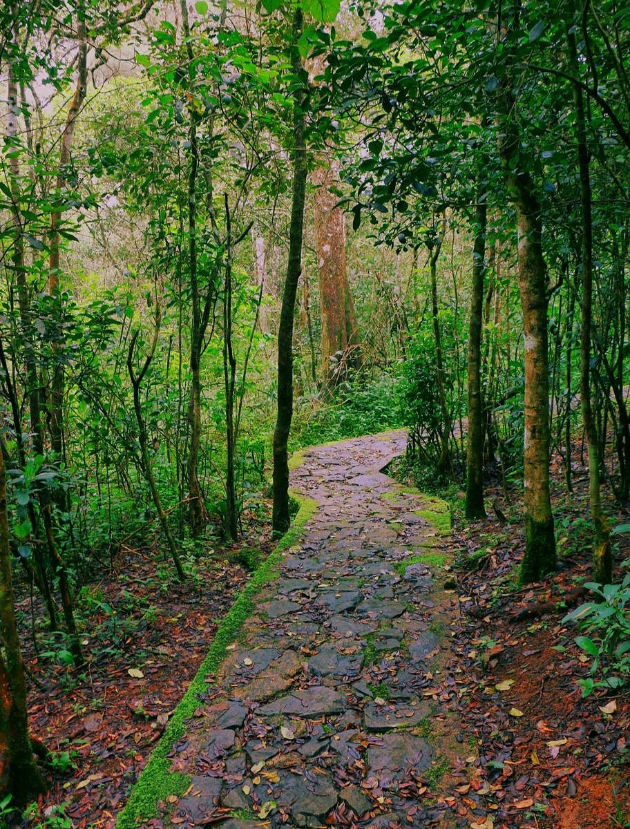 Galway's Land National Park